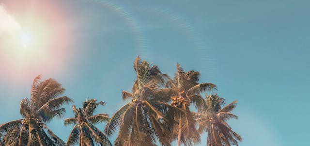 pexels-marctutorials-298692-1152359